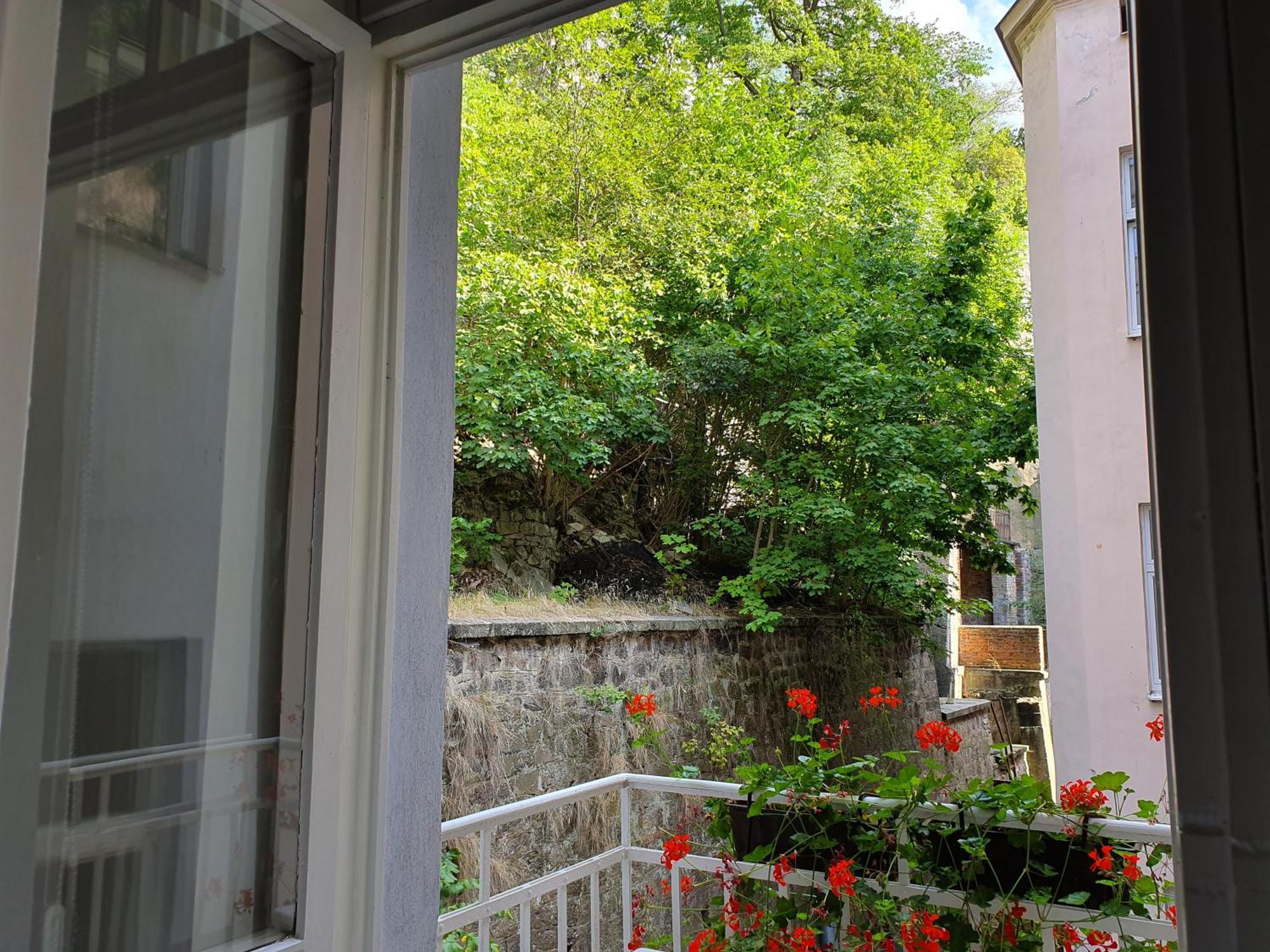 Madonna Apartments Karlovy Vary Ruang foto