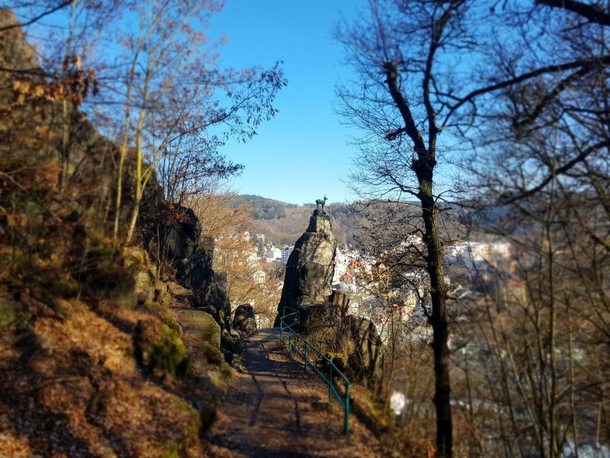Madonna Apartments Karlovy Vary Bagian luar foto